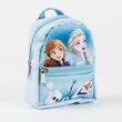 CERDÁ Disney Frozen Stationery mini backpack set