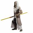 HASBRO Star Wars The Clone Wars Jedi Temple Guard figure 15cm