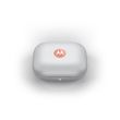Motorola Moto Buds Headphones Wireless In-ear Calls/Music/Sport/Everyday Bluetooth Coral