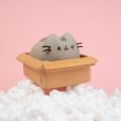 ERIK Pusheen money box