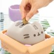 ERIK Pusheen money box