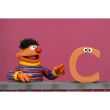 NECA Sesame Street Epi Ultimate figure 18cm