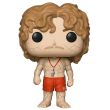 FUNKO POP figure Stranger Things Flayed Billy FUNKO POP figure Stranger Things Flayed Billy