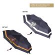 CERDÁ Harry Potter Griffindor atutomatic folding umbrella 53cm