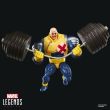 HASBRO Marvel Legends Series Strong Guy X Factor figure 15cm