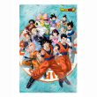 SD TOYS Dragon Ball Super Universe Survival 3D poster