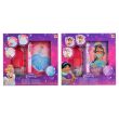 CANENCO Disney Princess assorted set diary