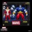 HASBRO Marvel Legends Series Starfox & Champion of the Universe pack 2 figures 15cm