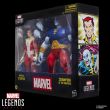 HASBRO Marvel Legends Series Starfox & Champion of the Universe pack 2 figures 15cm