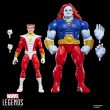 HASBRO Marvel Legends Series Starfox & Champion of the Universe pack 2 figures 15cm