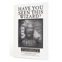 Agenda Lenticolare Harry Potter Have You Seen This Wizard?
