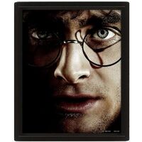 3D Harry Potter Voldemort Poster EPPL71335