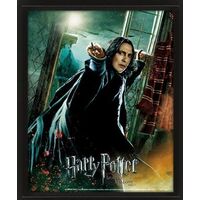 3D Harry Potter Severus Snape Poster EPPL71326