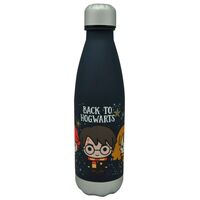 WARNER BROS. DISCOVERY Harry Potter Back to Hogwarst bottle 650ml