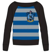 WARNER BROS. DISCOVERY Harry Potter Ravenclaw child sweatshirt
