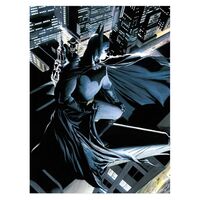 SD TOYS DC Comics Batman glass poster