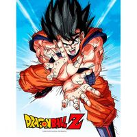 SD TOYS Dragon Ball Z Goku Kame glass poster