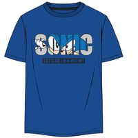 DIFUZED Sonic The Hedgehog adult t-shirt