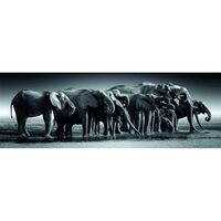 Clementoni Puzzle - High Quality Herd of Giants Panorama 1000pcs