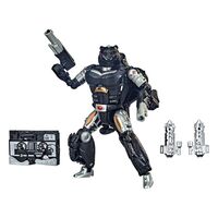 Transformers War From Cybertron Covert Agent Ravage + Decepticon Forever Ravage figures set 15cm 5010993863358