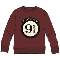 WARNER BROS. DISCOVERY Harry Potter Platform 9 3/4 child sweatshirt