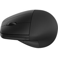 HP Wireless Mouse 920 Ergo Vertical Black