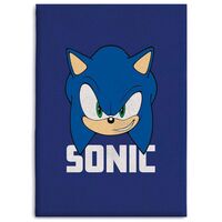 SEGA Sonic The Hedgehog polar blanket