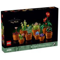 10329 Flowers Botanical Piantine