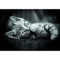 CLEMENTONI High Quality Kitty puzzle 1000pcs
