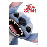 ERIK Disney Stitch Live Action poster