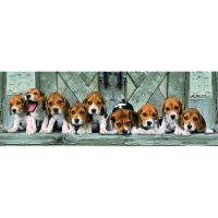 CLEMENTONI High Quality Beagles Panorama puzzle 1000pcs