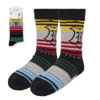 CERDÁ Harry Potter pack socks adult