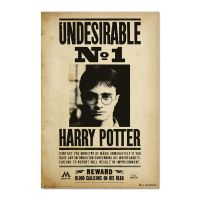 ERIK Harry Potter Undesirable Number 1 poster