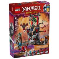 71841 Ninjago Villaggio della Ttempesta Dragoniano RARE