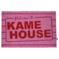 SD TOYS Dragon Ball Kame House doormat
