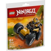 30723 Polybag Auto Ninja di Cole