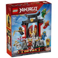 71866 Ninjago Display Personaggi Ninja 15th Anniversary