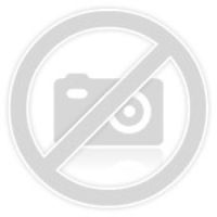 10345 Flowers Botanical Composizione Floreale RARE