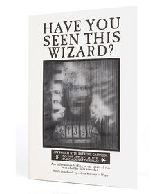 Agenda Lenticolare Harry Potter Have You Seen This Wizard?