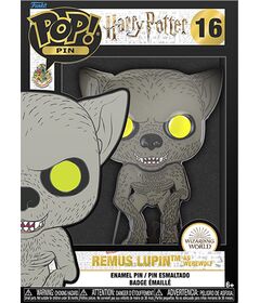 Funko Pin! Harry Potter Remus Lupin 16