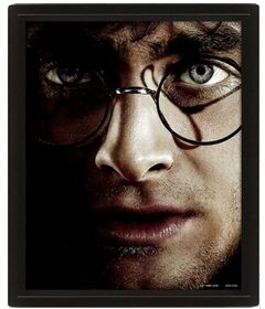 3D Harry Potter Voldemort Poster EPPL71335