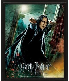 3D Harry Potter Severus Snape Poster EPPL71326