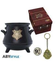 Gift Set 4 in 1 Harry Potter ABYPCK251