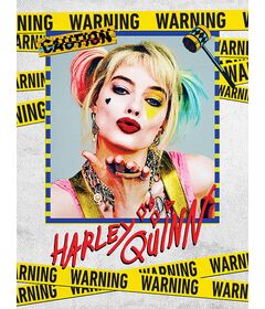 Deluxe Harley Quinn Canvas WDC12239