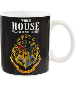 WARNER BROS. DISCOVERY Harry Potter Hogwarts heat changing mug 325ml