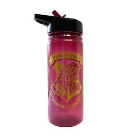 WARNER BROS. DISCOVERY Harry Potter Hogwarts bottle 600ml