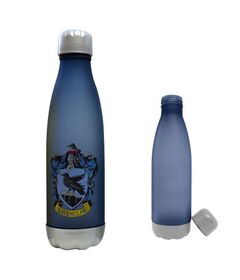 WARNER BROS. DISCOVERY Harry Potter Ravenclaw bottle 650ml