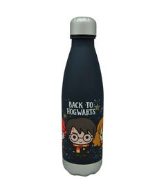 WARNER BROS. DISCOVERY Harry Potter Back to Hogwarst bottle 650ml