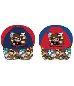WARNER BROS. DISCOVERY Harry Potter assortd kids cap