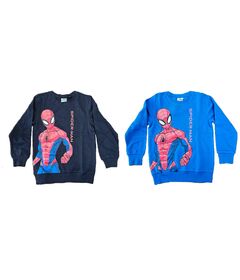 MARVEL Marvel Spiderman assorted sweatshirt
